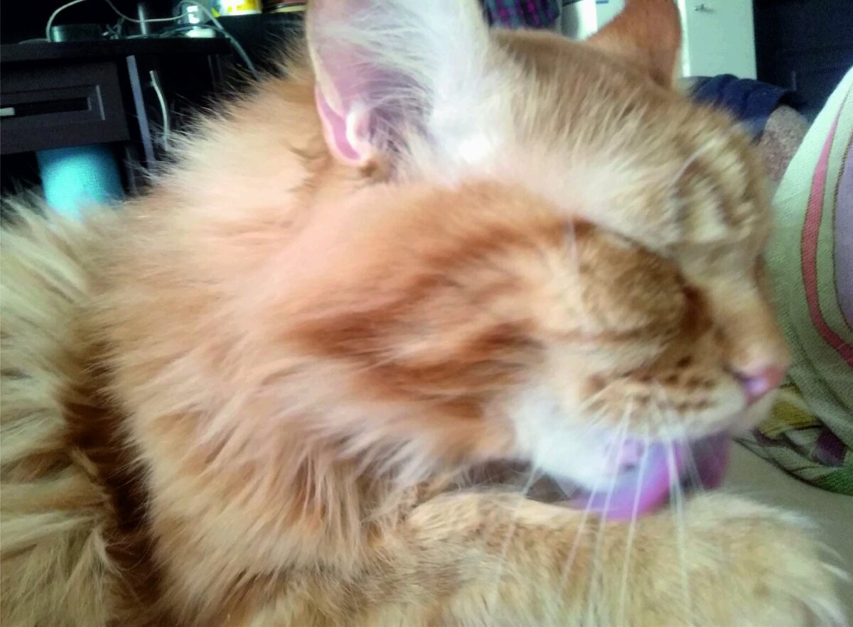 Фото автора.