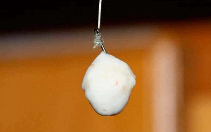 Изображение взято из открытого источника