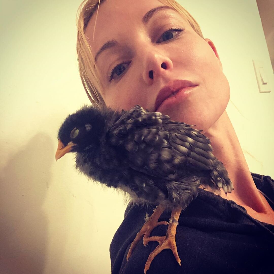 Изображение взято из открытых источников.