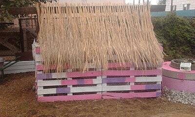 А это просто компостная куча. Правда, хороша?