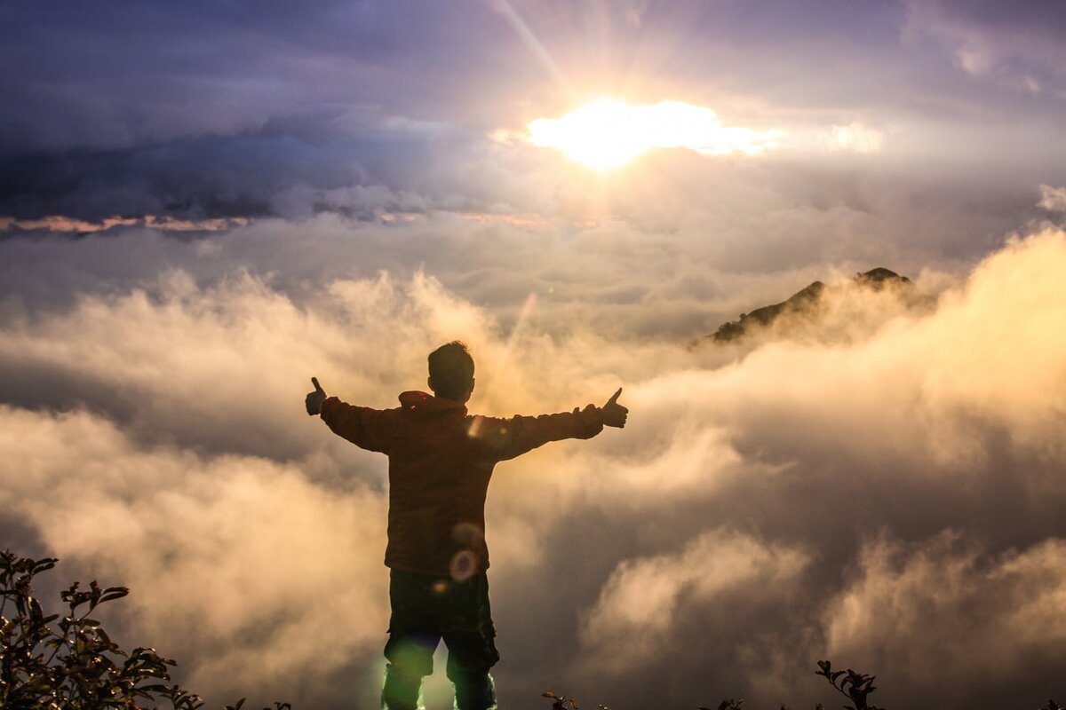 Фото из открытых источников www.unsplash.com