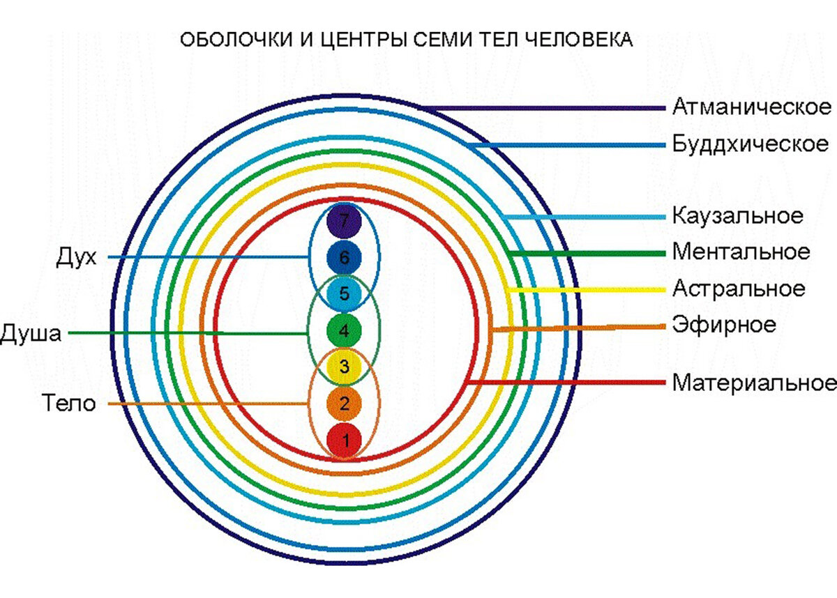 Эфирный это. Структура тонких тел человека. 7 Тел человека тонкоматериальная структура. Энергетические центры человека тонкие тела и физическое тело. Эфирная оболочка человека.