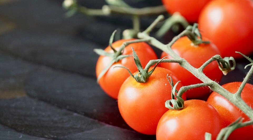 3 помидоров. Томат черри Мадейра. Cherry Tomatoes. Чем кормить помидоры.