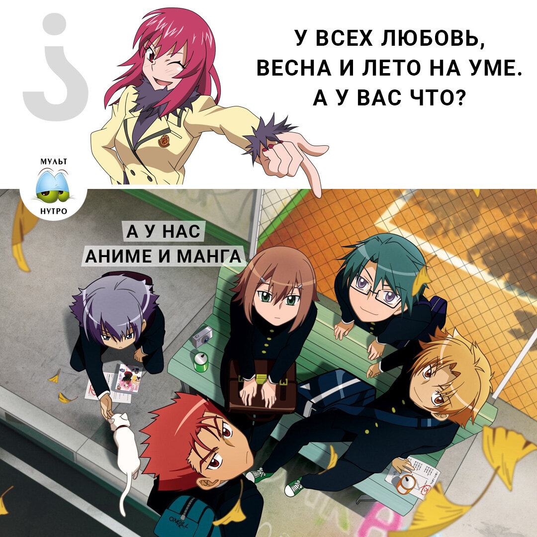 (аниме Baka to Test to Shoukanjuu, или «Дурни, Тесты, Аватары»)