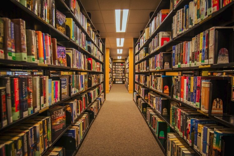 portaldobibliotecario.com