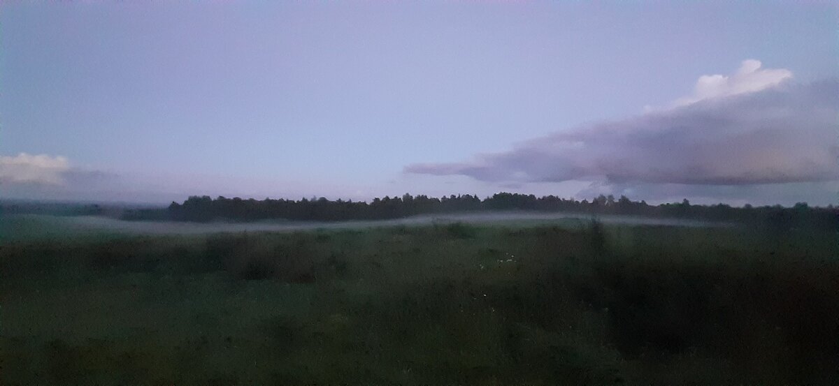Туман на поле 