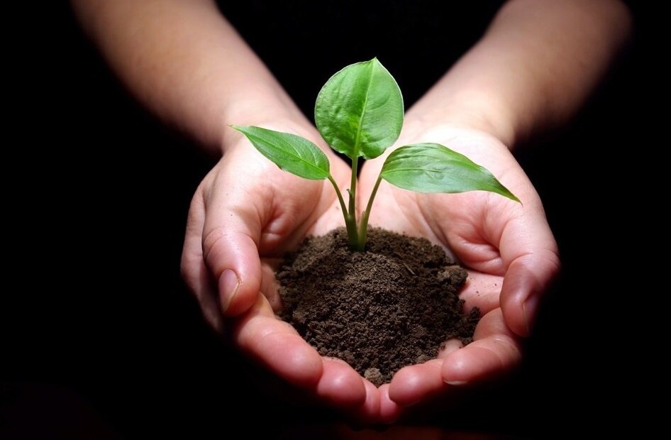                                                            Берегите природу, берегите себя!