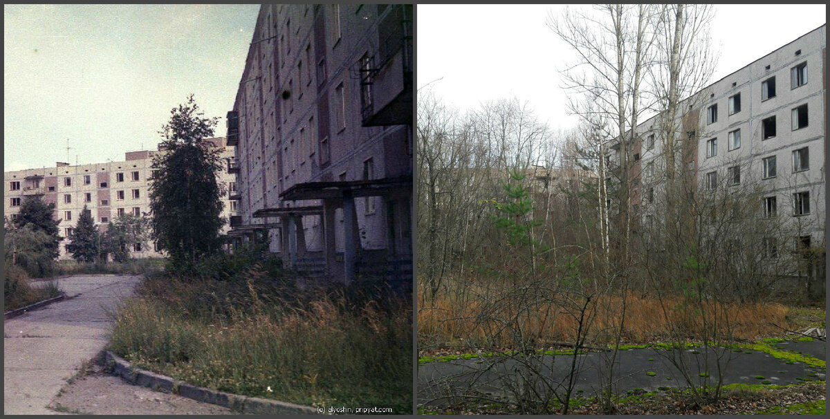 припять 2022. город припять 1991. чернобыль зона будущего. зона отчуждения город припять. чернобыль зона отчуждения аэс.