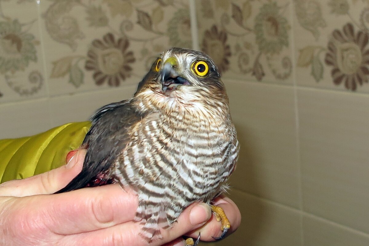 Лика у Татьяны. Листай ==>