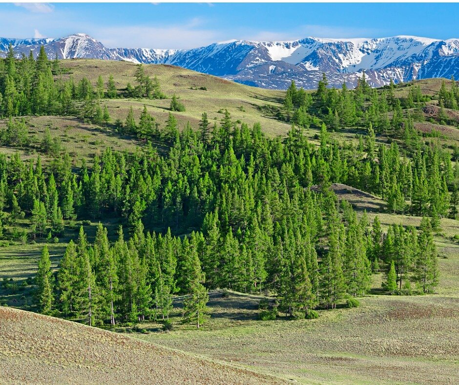 Статья подготовлена специалистами компании «РосКо – Консалтинг и аудит» https://rosco.su/