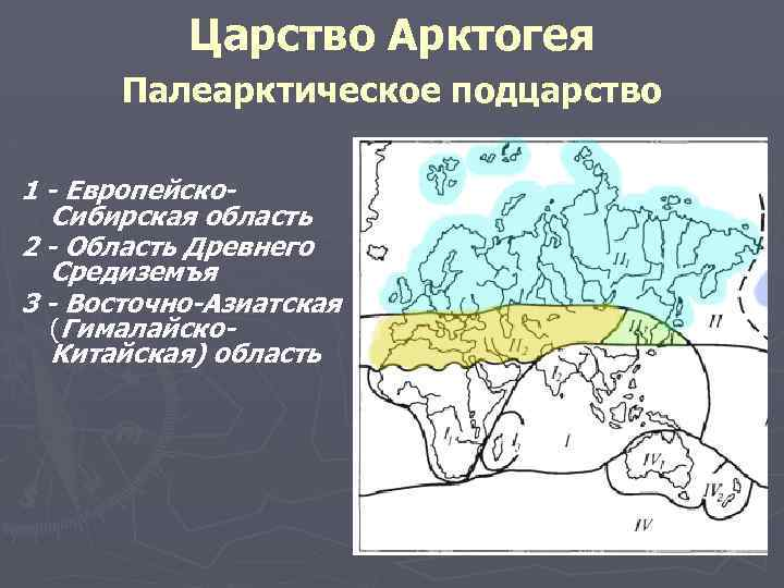 Карта флористических царств и областей