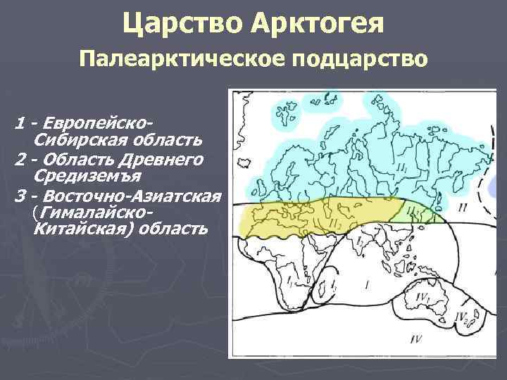 Фаунистические области карта