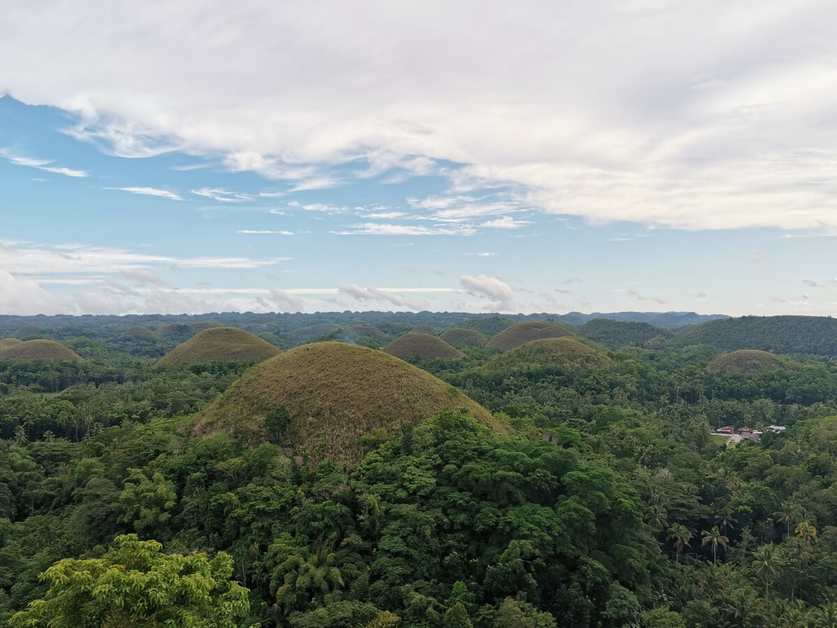 Bohol Philippines average salary