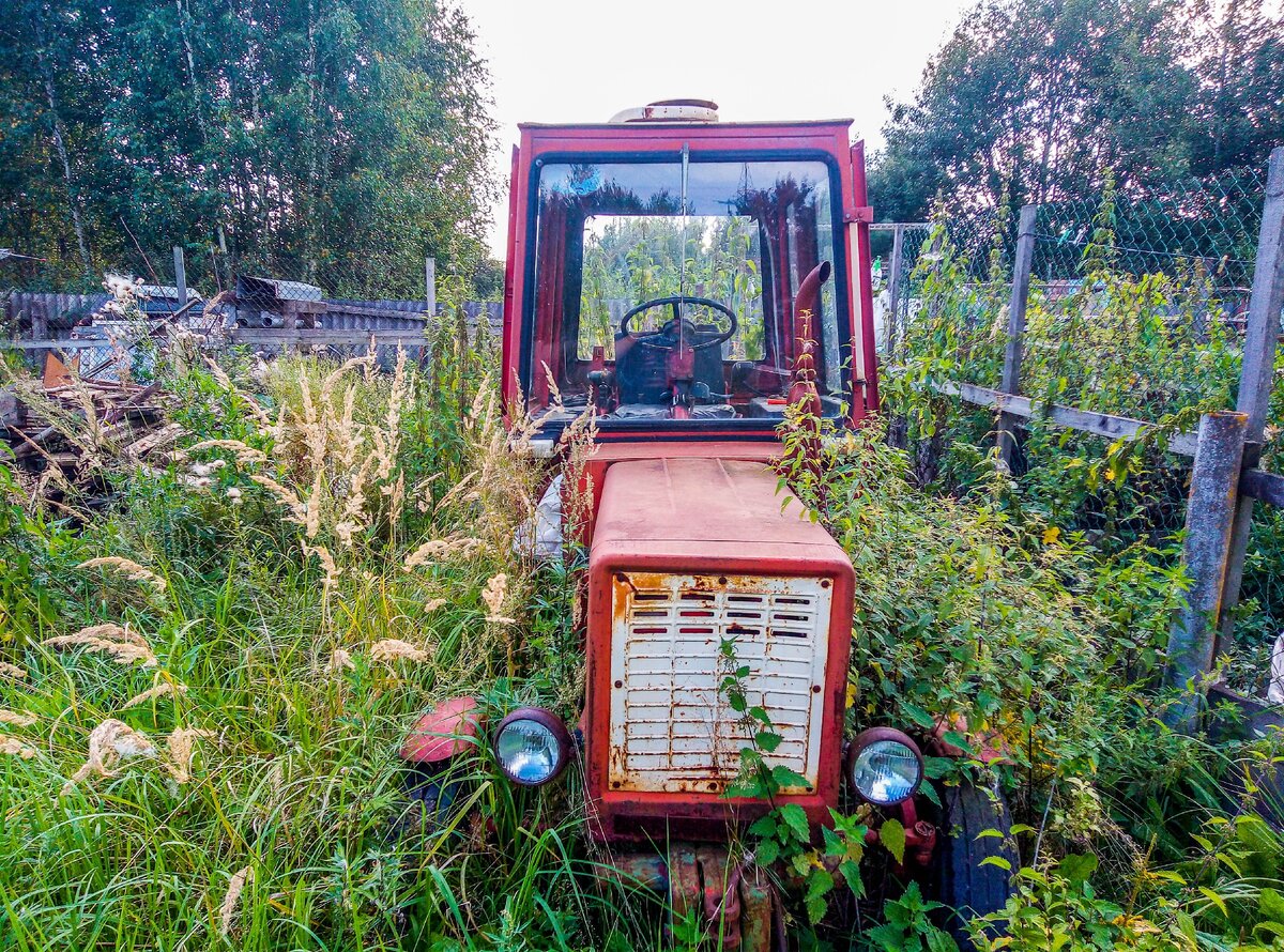 Нашел в деревне трактор в высокой траве. Оказалось, он вполне даже ...