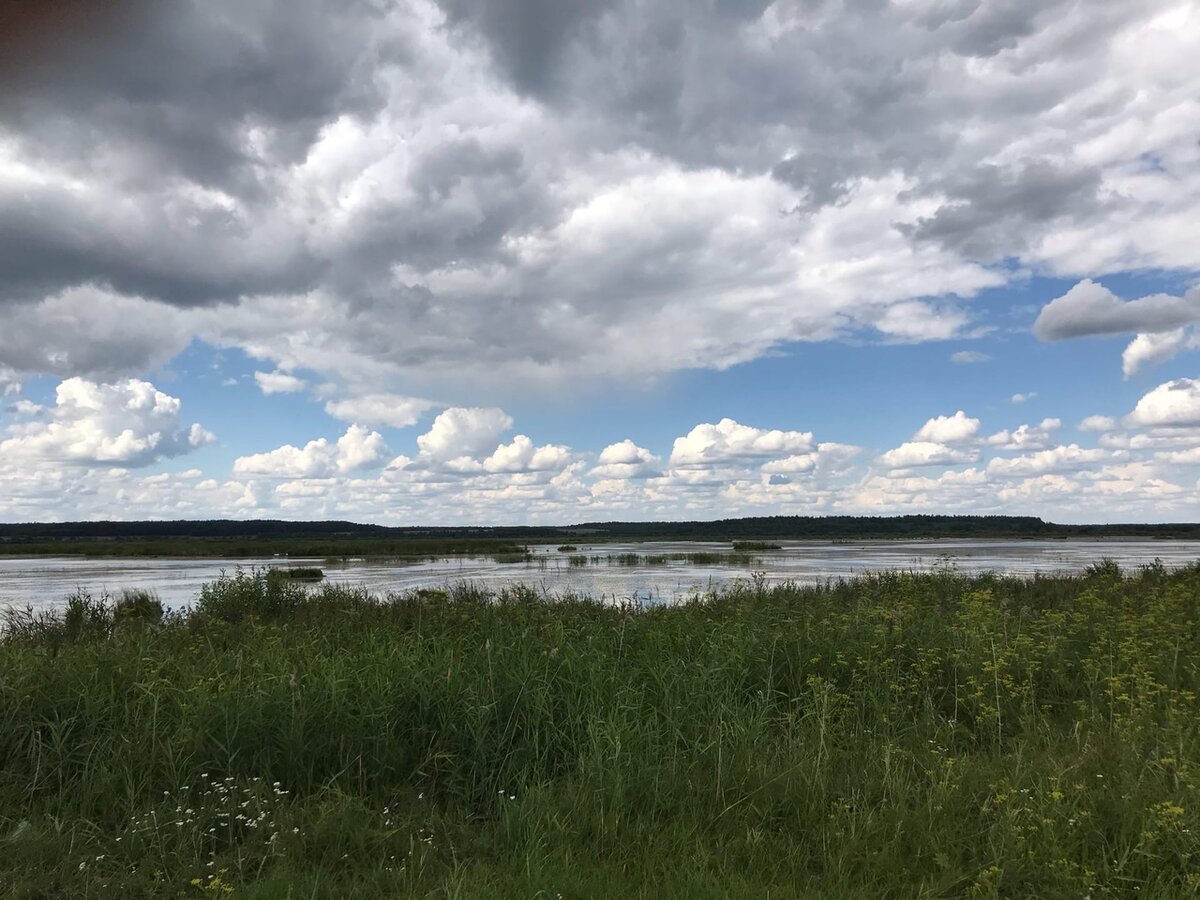 Пруд Селитьба.