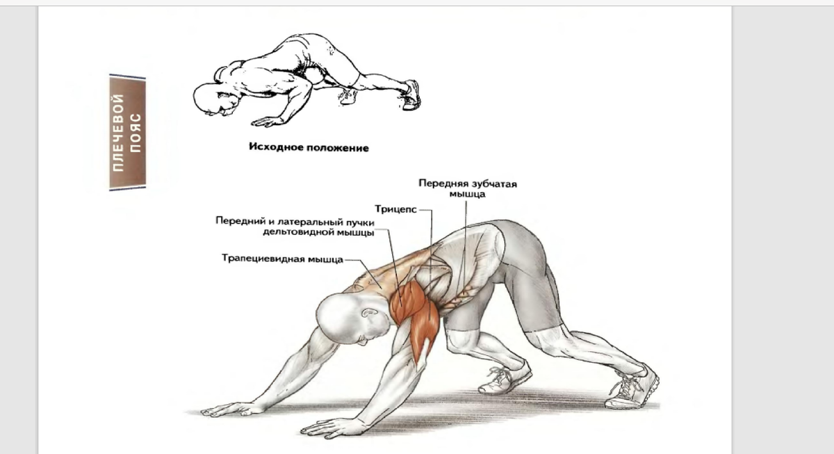 Прокачка плеч и трапеции