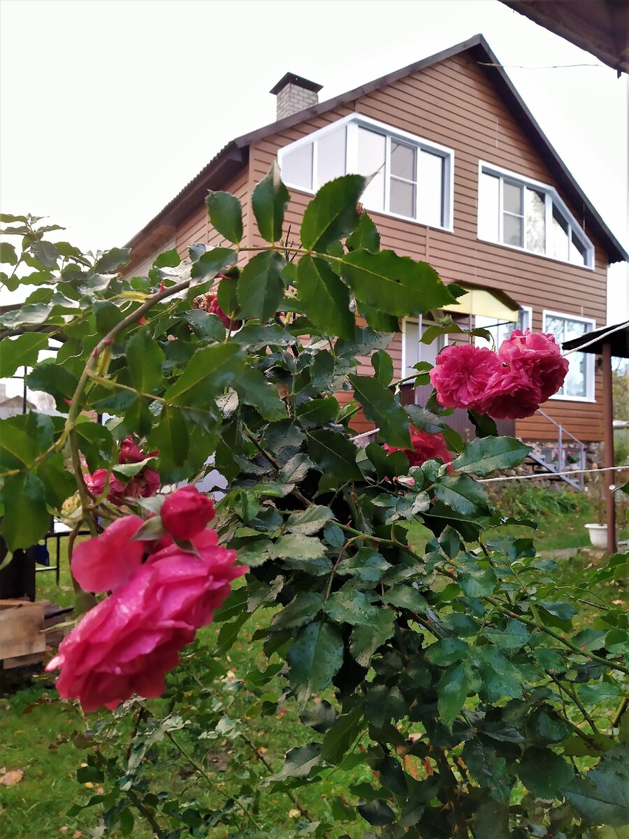 Наш дом. Первый этаж высокий из-за цоколя
