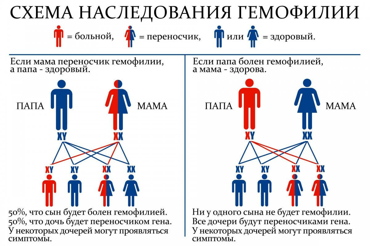 В семье трое детей сын артем составил диаграмму возрастов семьи определите