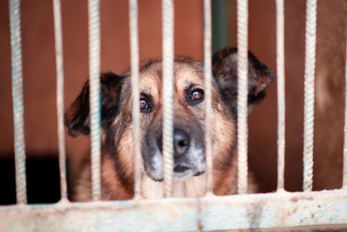 Здесь должен был быть текст про то, что Хлоя ищет дом. Но его не будет