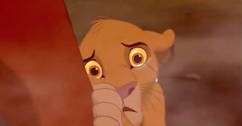 Кадр из мультфильма "Король лев"