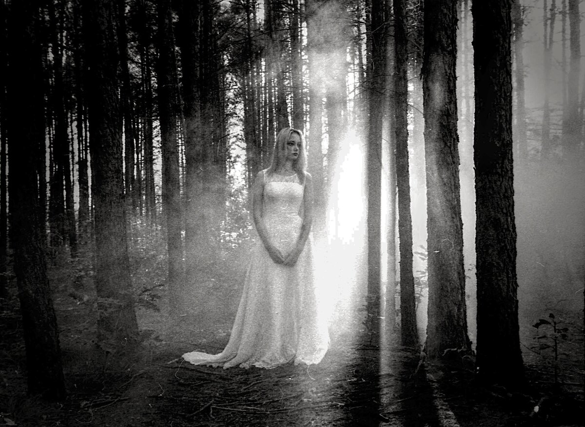 Яндекс картинки