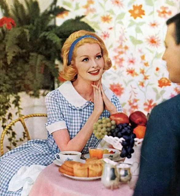 Американская домохозяйка 50-х