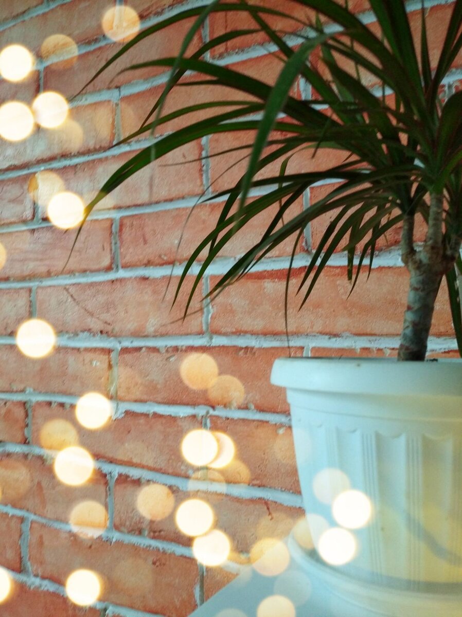 авторское фото для блога you are a wonder woman