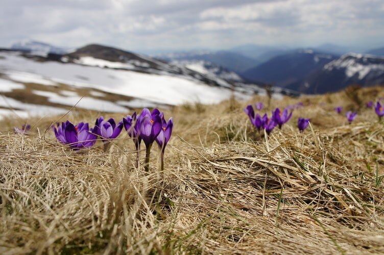 Красота! (Фото из Интернета)
