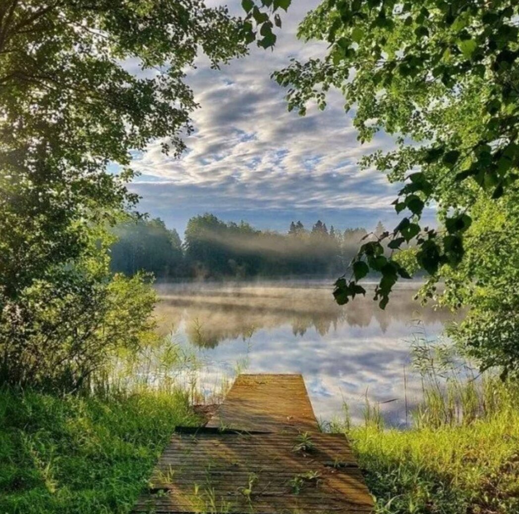 Фото из интернета 