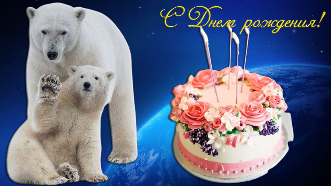 Красивая открытка поздравление с Днем рождения от белых медведей Необычная картинка открытка с Днем рождения понравится и мужчине и женщине, и сыну и дочери. Красивенный и вкусный торт из космоса, да еще от северных мишек!
