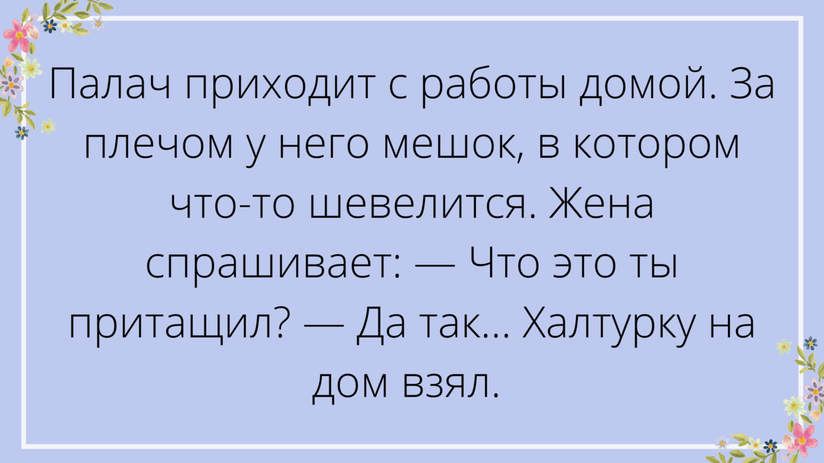 Порция дневных анекдотов | Сетевое мышление | Дзен