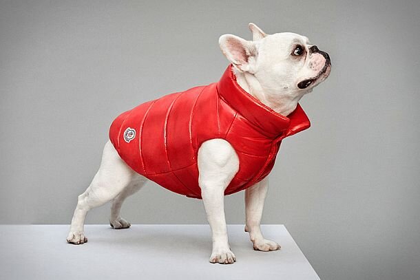 Курточка Moncler