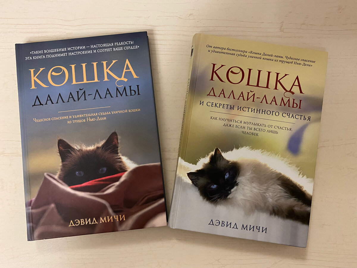 Книжки про кошек, котов и котят