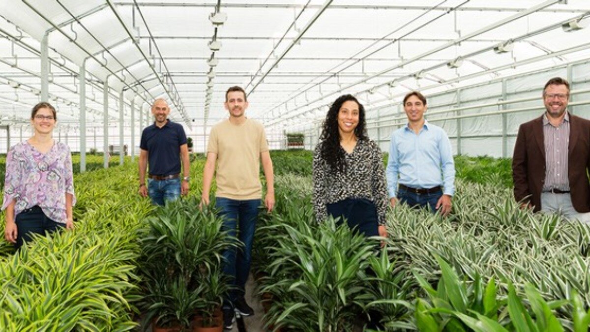 Фото:www.hortidaily.com Команда разработчиков из компании Biota Nutri