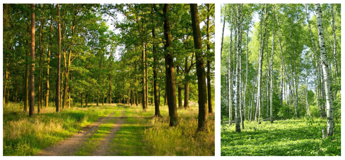 Типы пространственной структуры | Architecture & design | Дзен