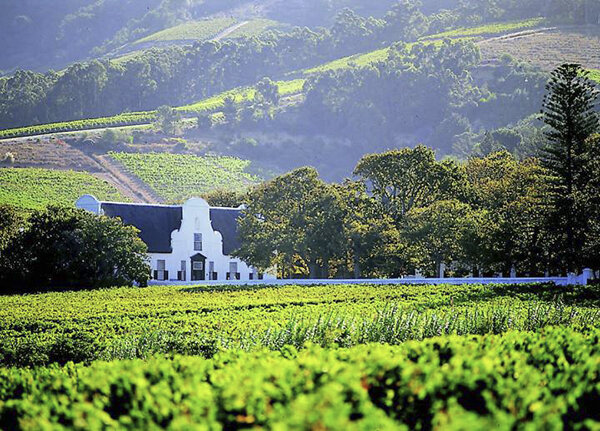 Groot Constantia - Одна из старейших виноделен ЮАР, основана в 1685 году