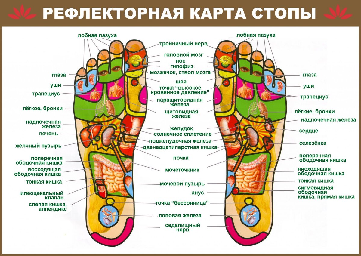 Карта стопы
