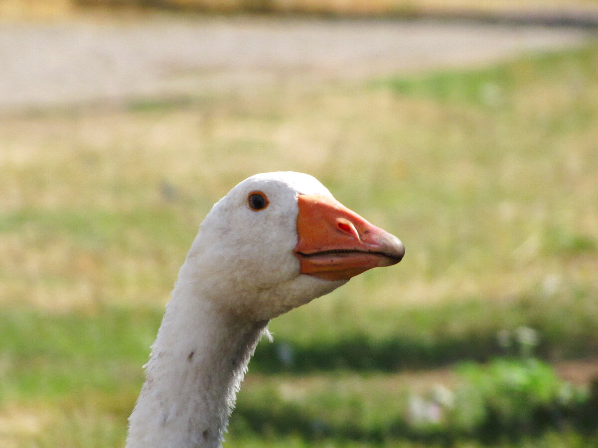 Доброе утро, а что вы тут делаете, а?