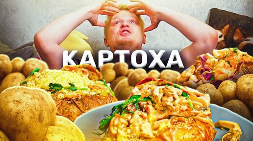 Potato papa. КАРТОХА на стероидах! Славный Обзор.