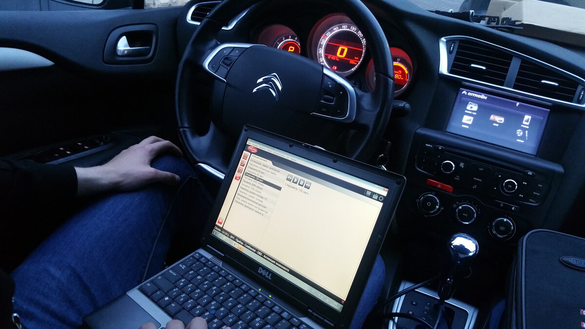 Фото взято с Яндекс картинки.