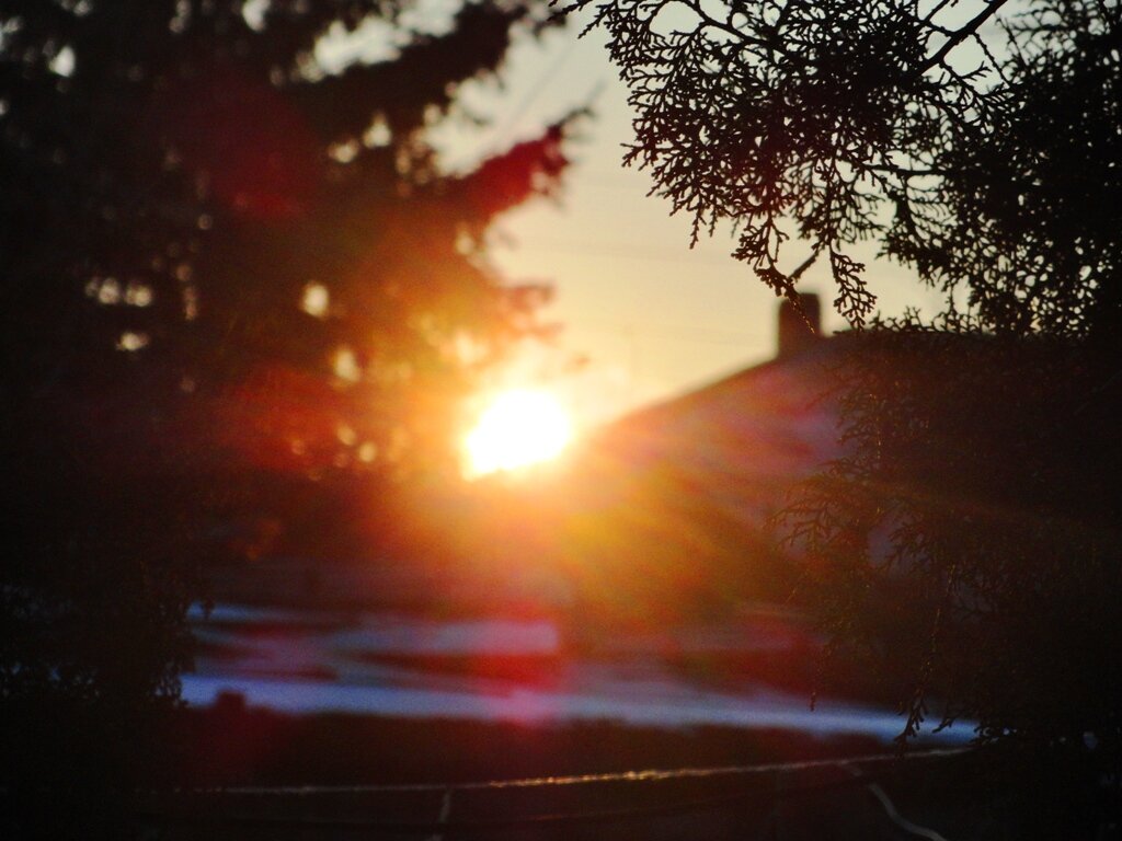 личный архив