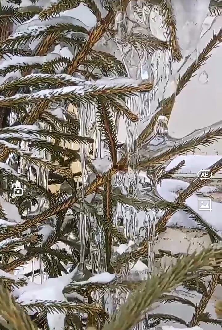 Фото Светланы Стихиной