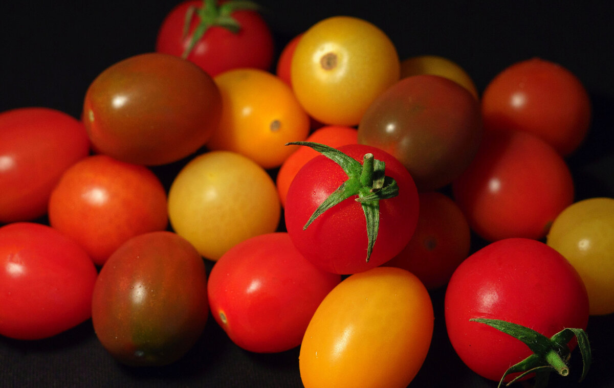 Фото из свободных источников