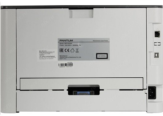 Лазерный принтер Pantum BP5100DW. Вид сзади  