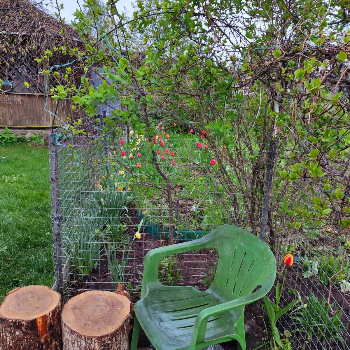 Зона отдыха под тенью деревьев