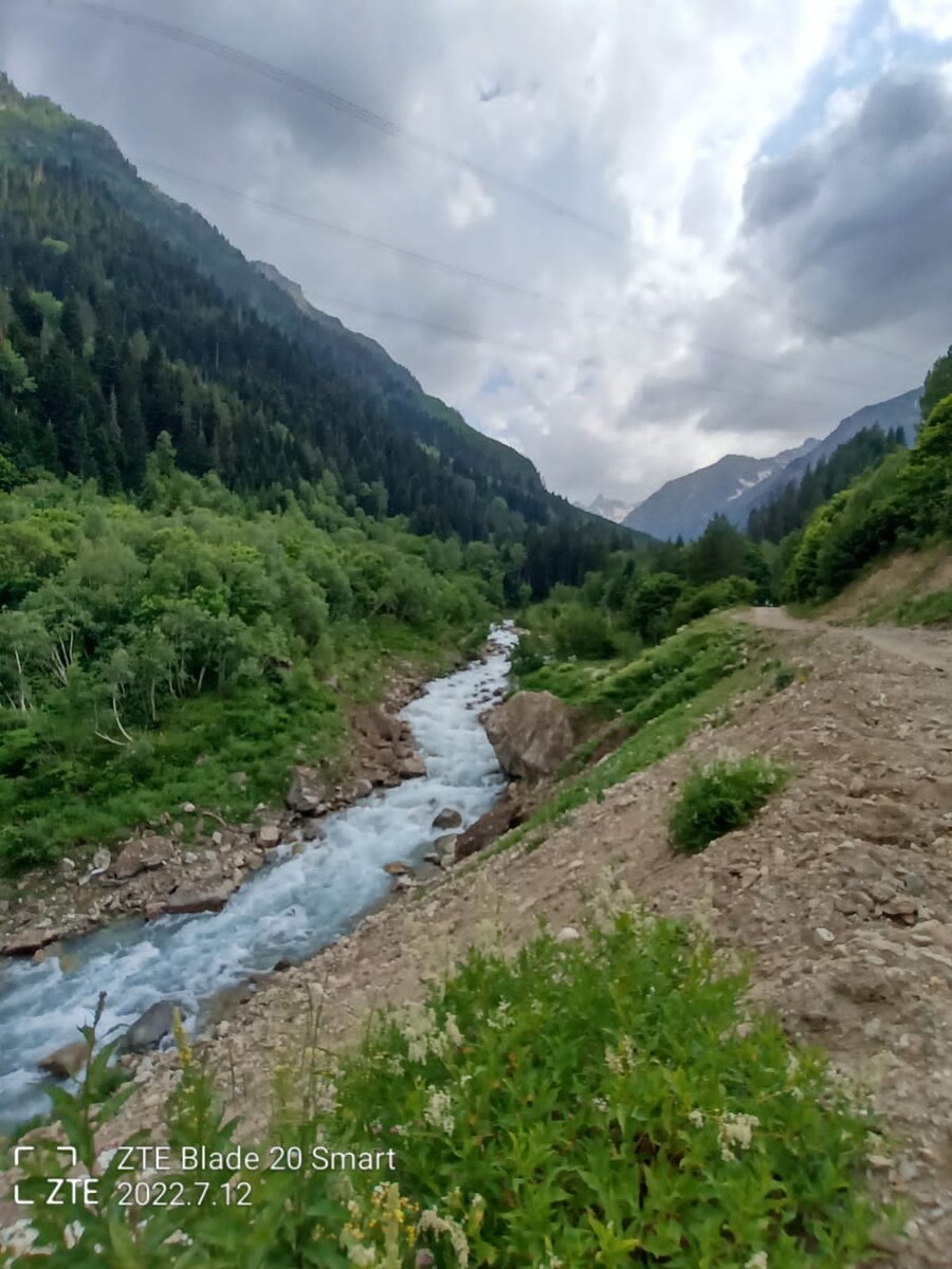 Фото из чата "Прощай простуда"