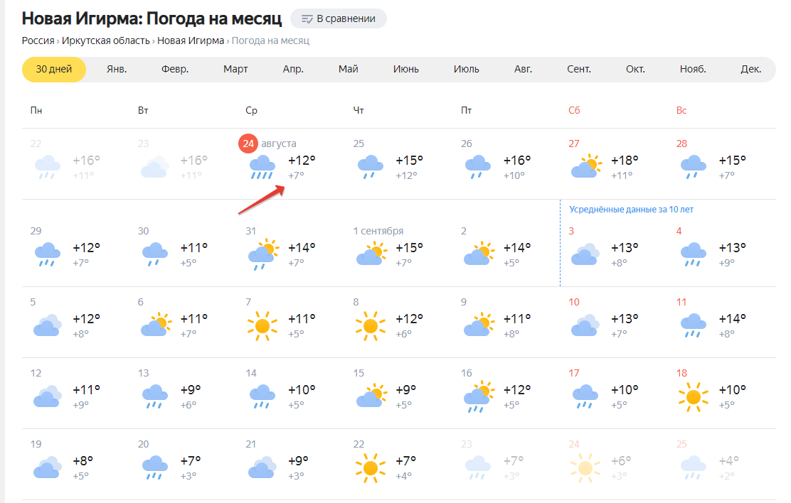 Холодный и дождливый август испортил у меня многие цветы, которые должны были выйти на пик декоративности к концу лета.