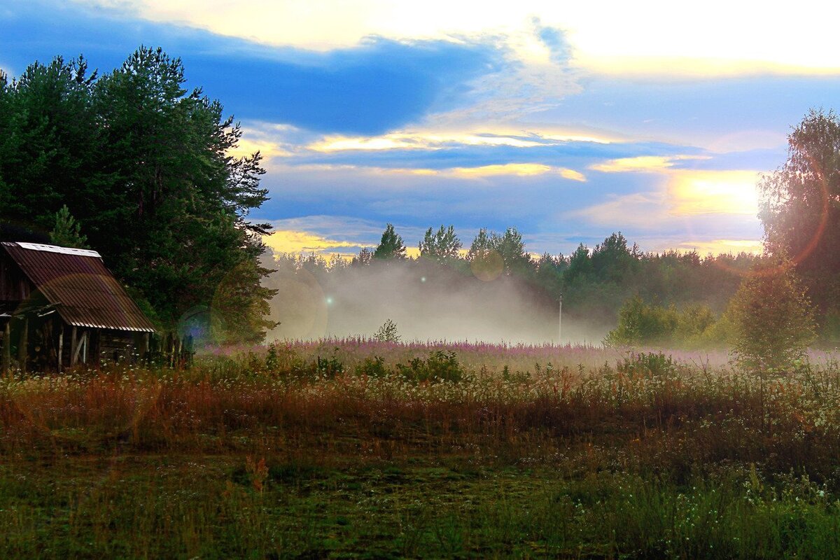 Яндекс.Картинки