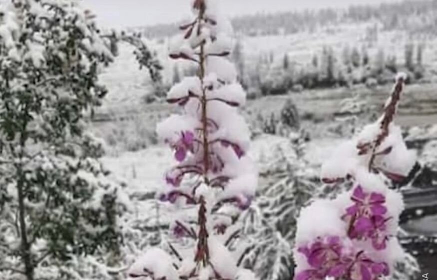    В Магаданской области выпал снег