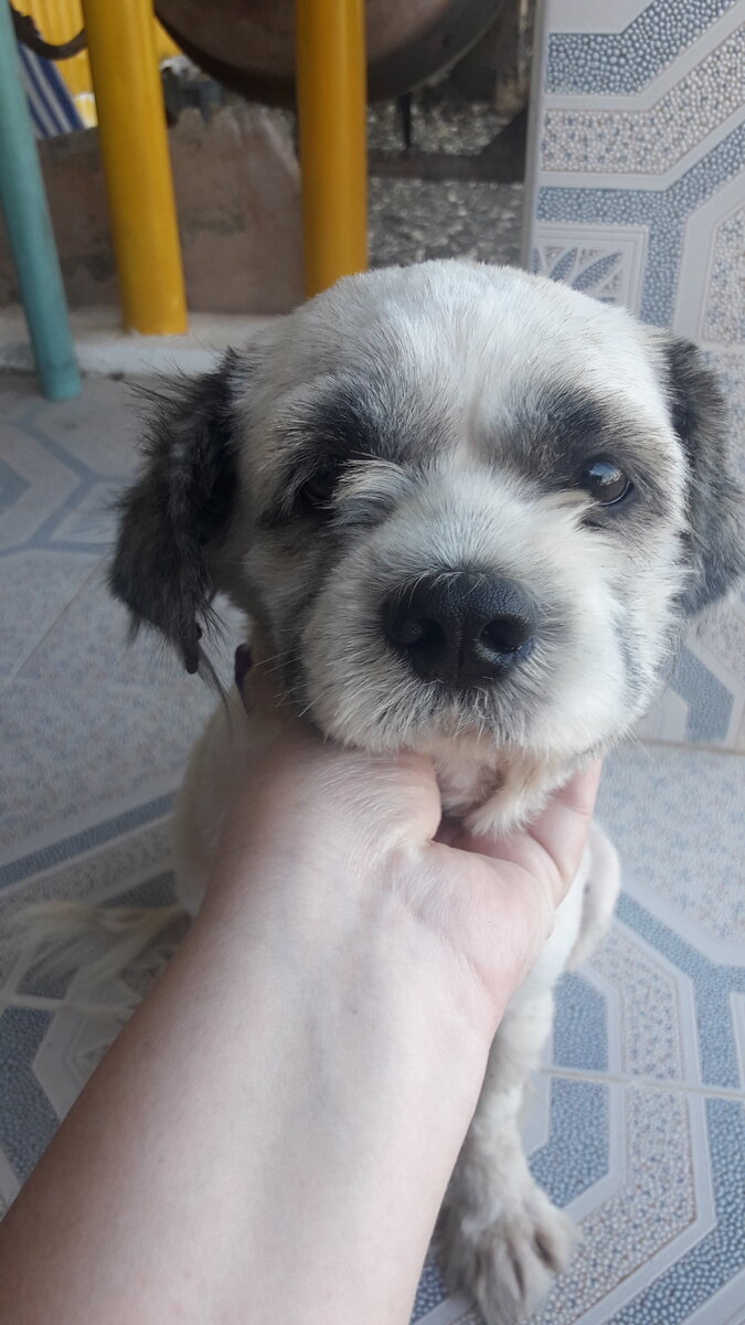 Знакомимся с Бро.